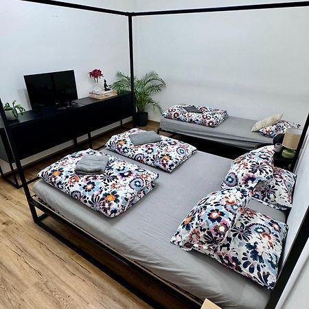 Susilova 14 Apartments I بريروف المظهر الخارجي الصورة
