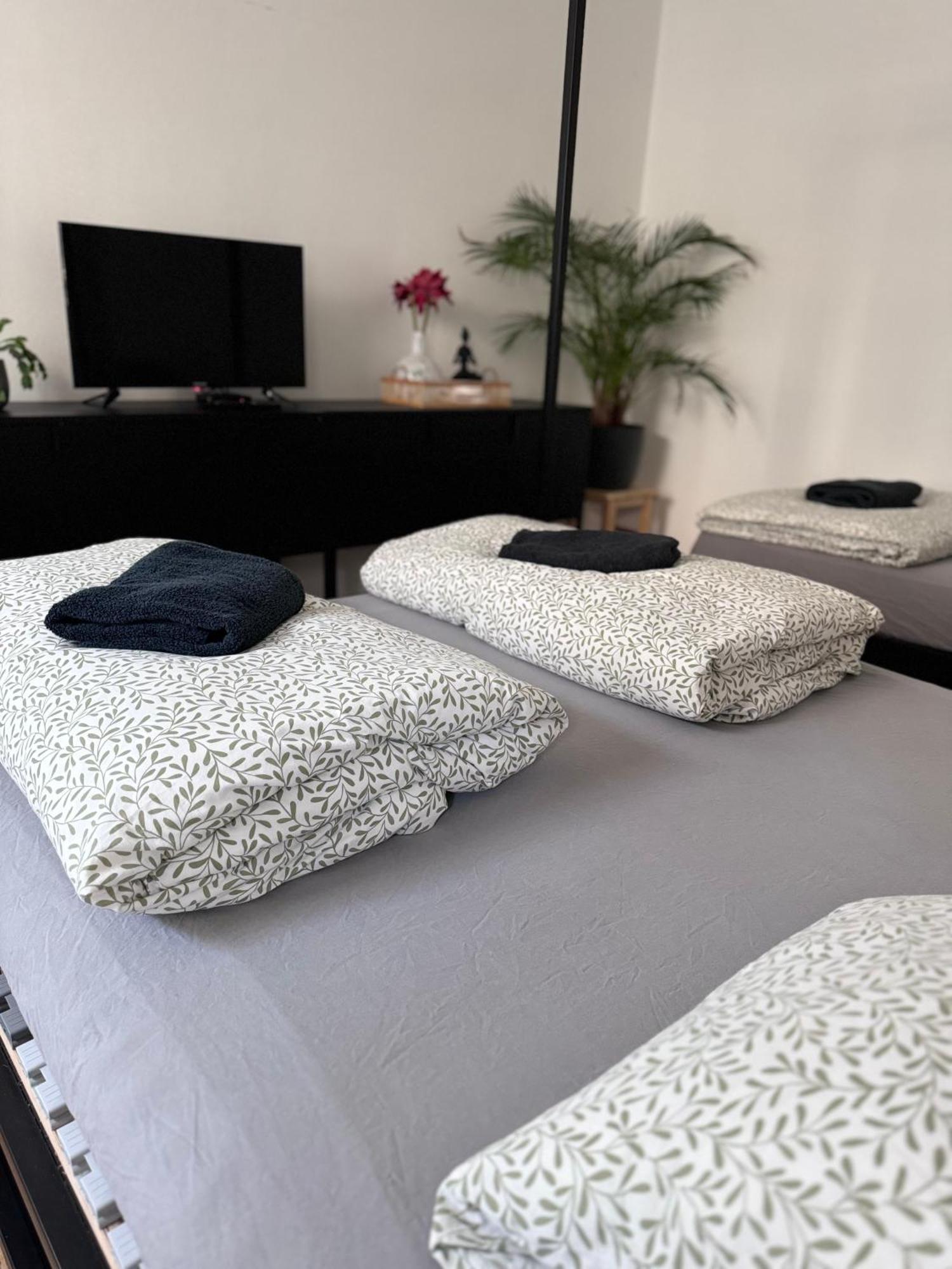 Susilova 14 Apartments I بريروف المظهر الخارجي الصورة